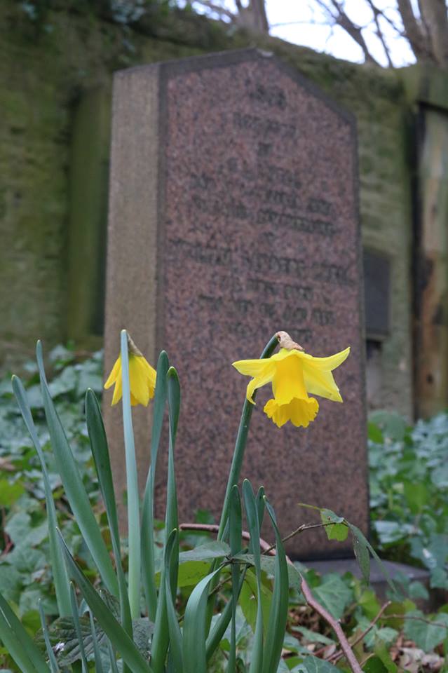 28280068_10155686662548025_3200922263724204540_n