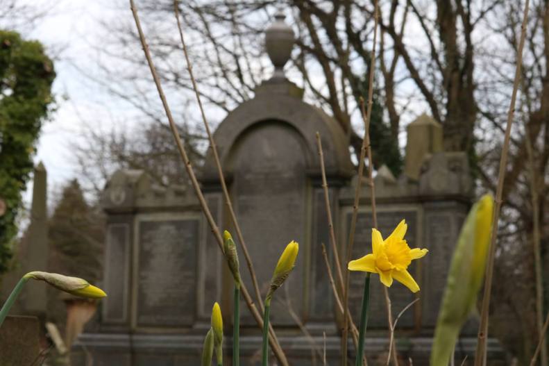 28335901_10155686662478025_8513556683608594309_o