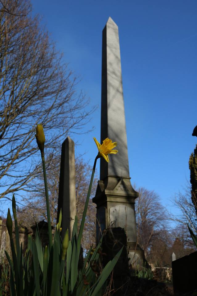 28377645_10155673521238025_8967735456305808957_n