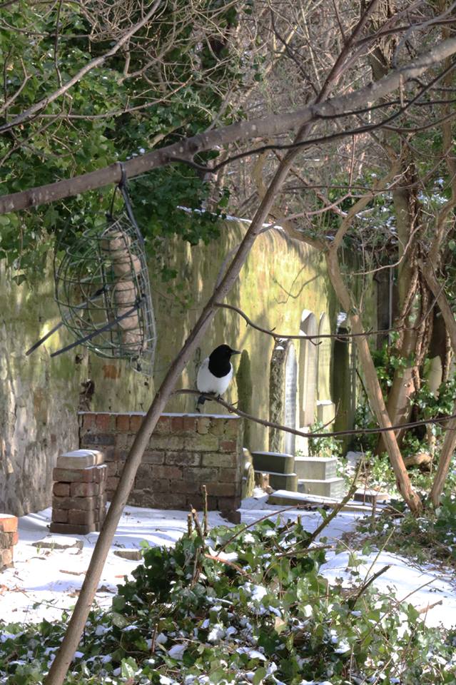 28377777_10155692375683025_6062202533058718532_n