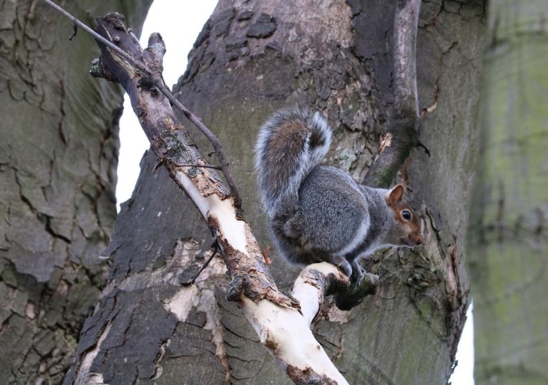 28424339_10155686662213025_3766263227600927181_o