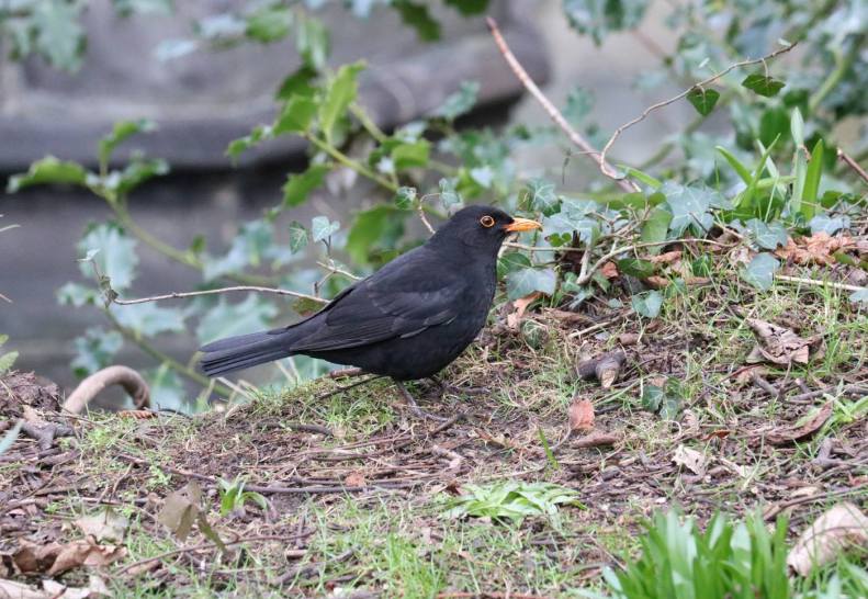 28516059_10155686662718025_381431668572566566_o