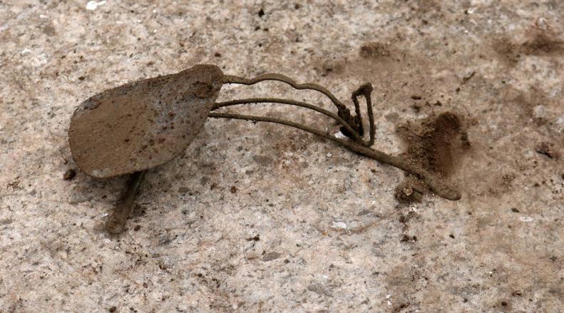 29983482_10155808896393025_2058949776529168255_o