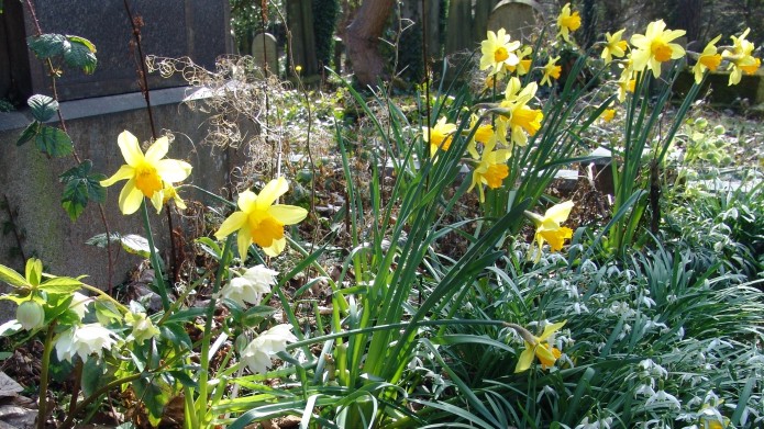 kmz1hxxy5wdkn1f1wdsf