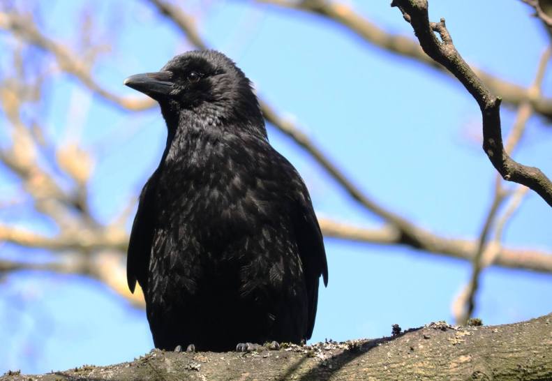 29749997_10155785859293025_3161910216531697003_o