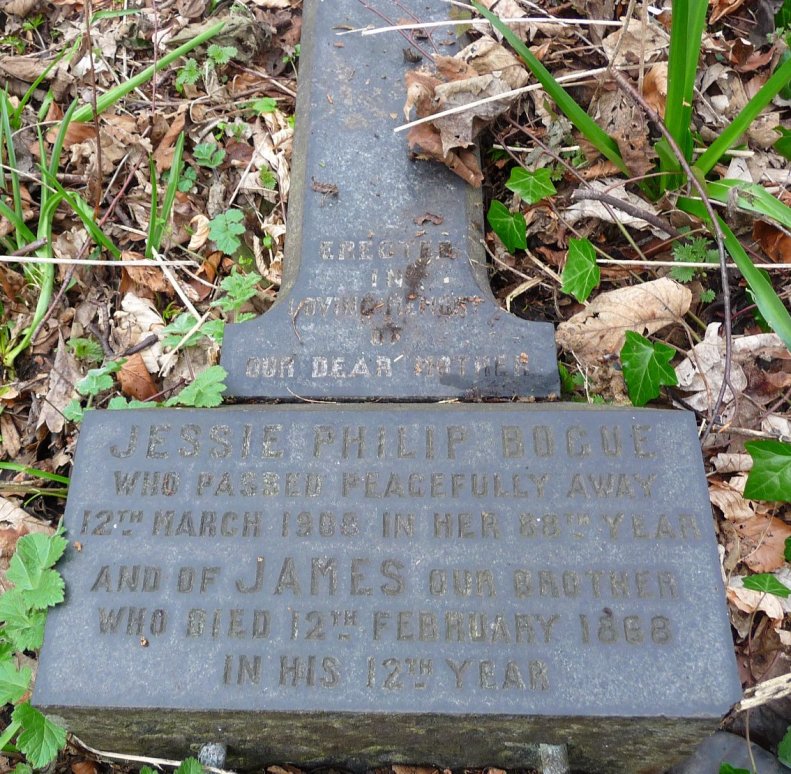 29750181_1925732104113208_173028490769051325_o