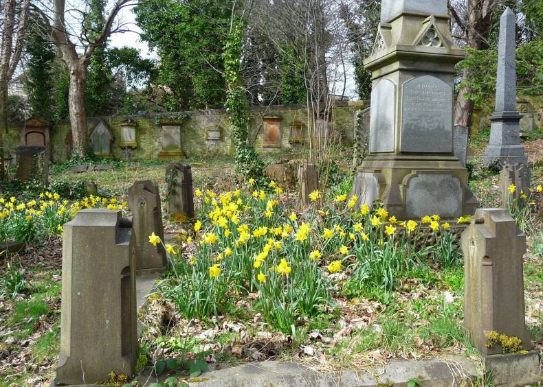 29871727_1927844427235309_5740881841180440468_o