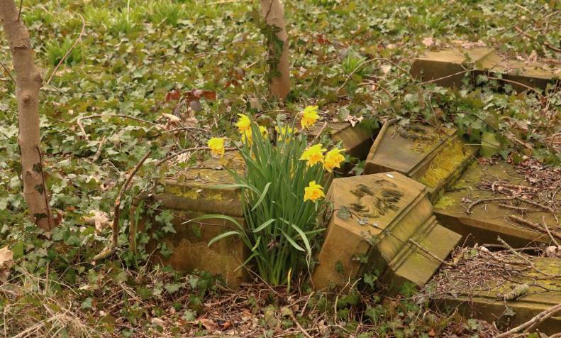 29872059_10155804337853025_5649560557644044785_o