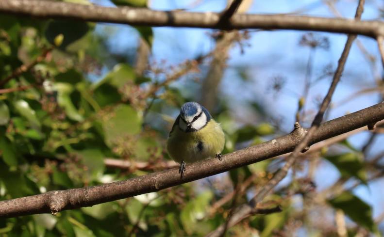 29872174_10155785858778025_736646901428550217_o