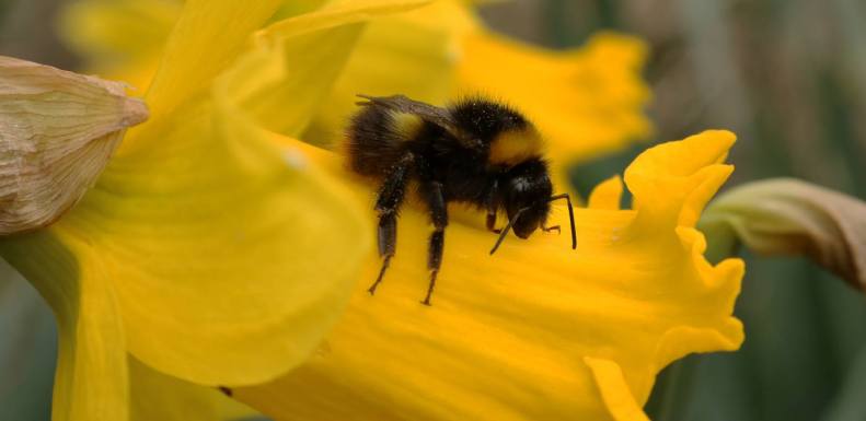 29872307_10155804515438025_1196658642361801841_o