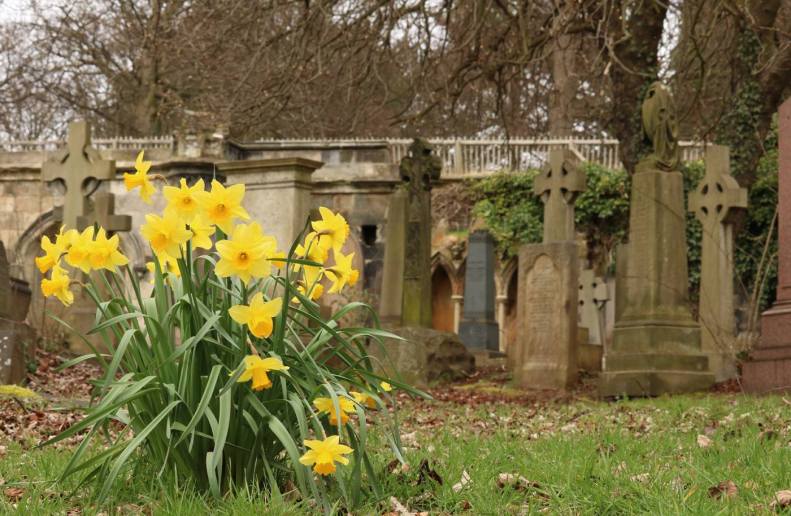 29872621_10155804338343025_6011127199555080076_o