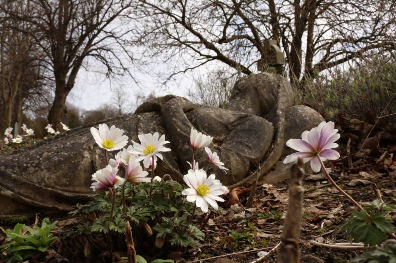 29872835_10155804367503025_1579696434980593981_o