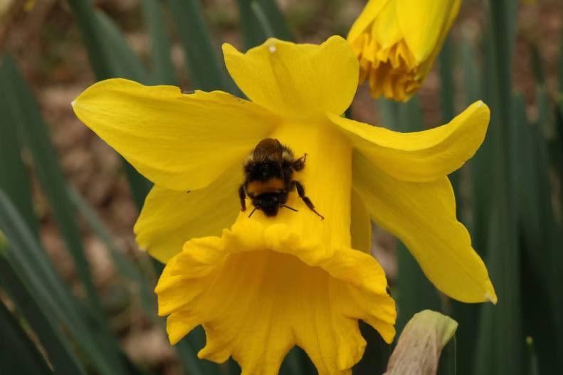 29873272_10155804515098025_7960906964759668277_o