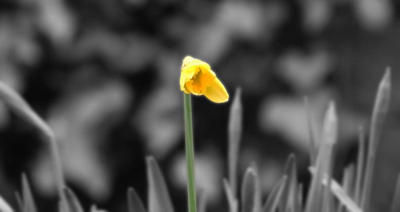 30051966_10155787447698025_7757498643971668822_o