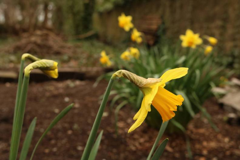 30052561_10155801865378025_1427449994725958087_o