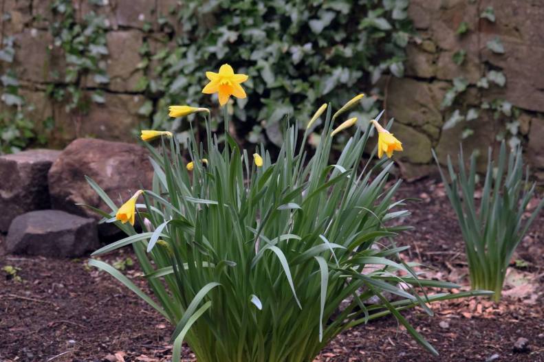 30072988_10155797042918025_8075038459699152599_o