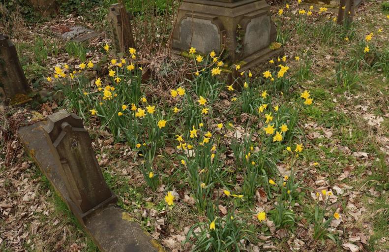 30167237_10155797043103025_4758122659997819949_o