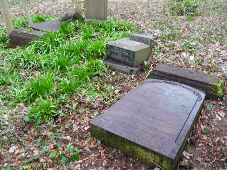 30167519_1925731440779941_4059769570020342755_o