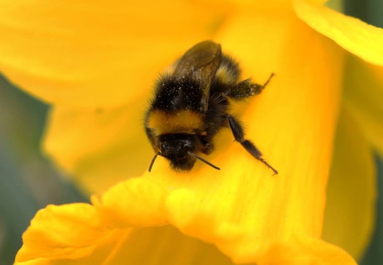 30168078_10155804515118025_3056865768102125250_o