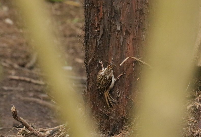 30171451_10155827452488025_4972967774831914642_o