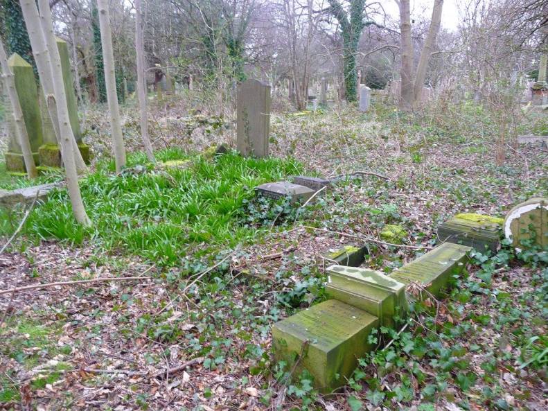 30171951_1925731334113285_4998856928071045961_o