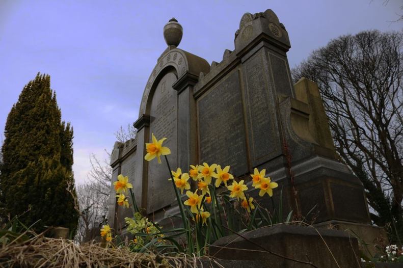 30262012_10155797042503025_7604487482543417044_n