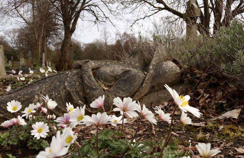 30595272_10155804367518025_7519579286200670459_n