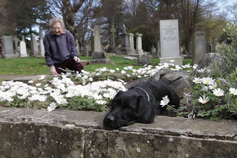 30706277_10214590305085114_4195938402559852544_n