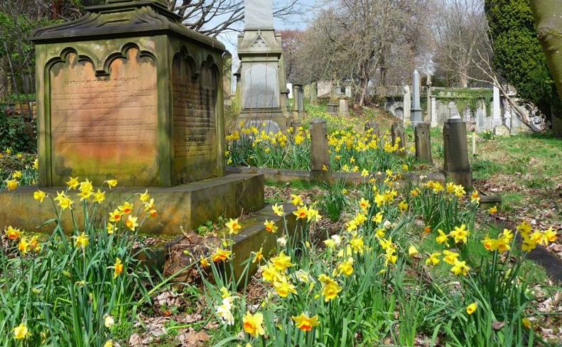 30706578_1933649579988127_4132800464068213199_n