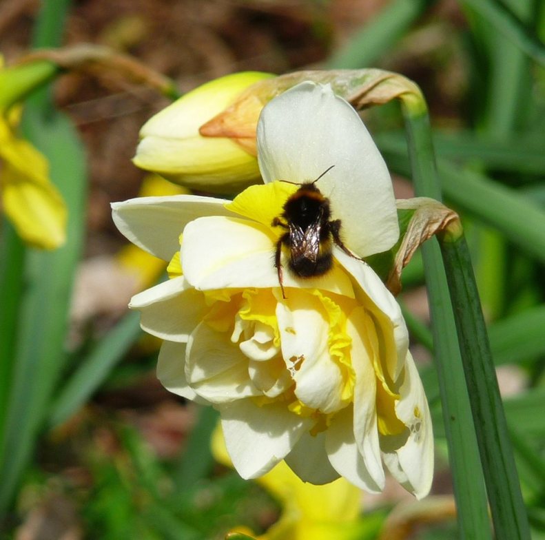 30707362_1933651519987933_3677548573801540915_n