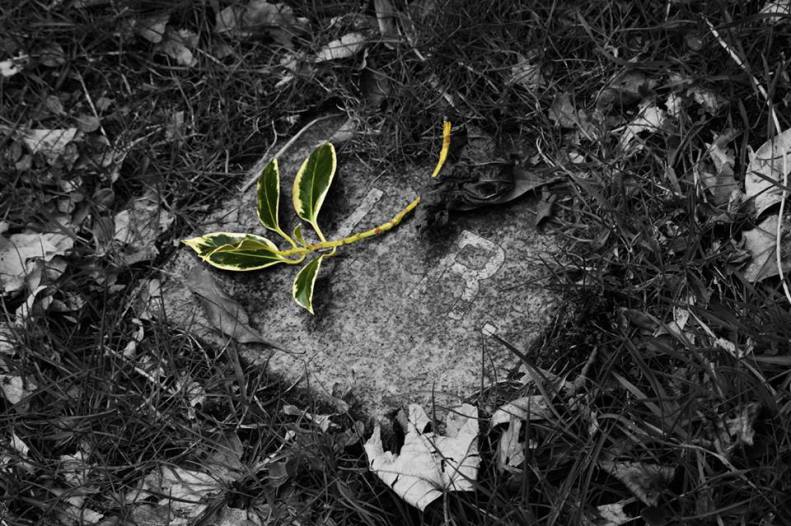 30741330_10155818178603025_6593955856667036602_n