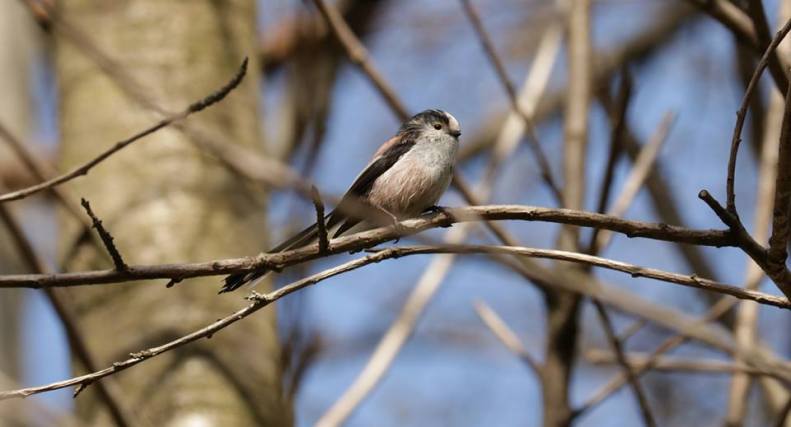 30743568_10155827452458025_6500709787560991661_n