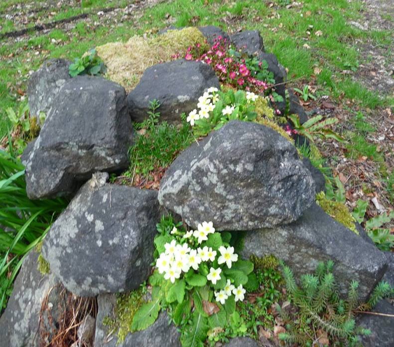 31081512_1943357189017366_3071571596336757000_n