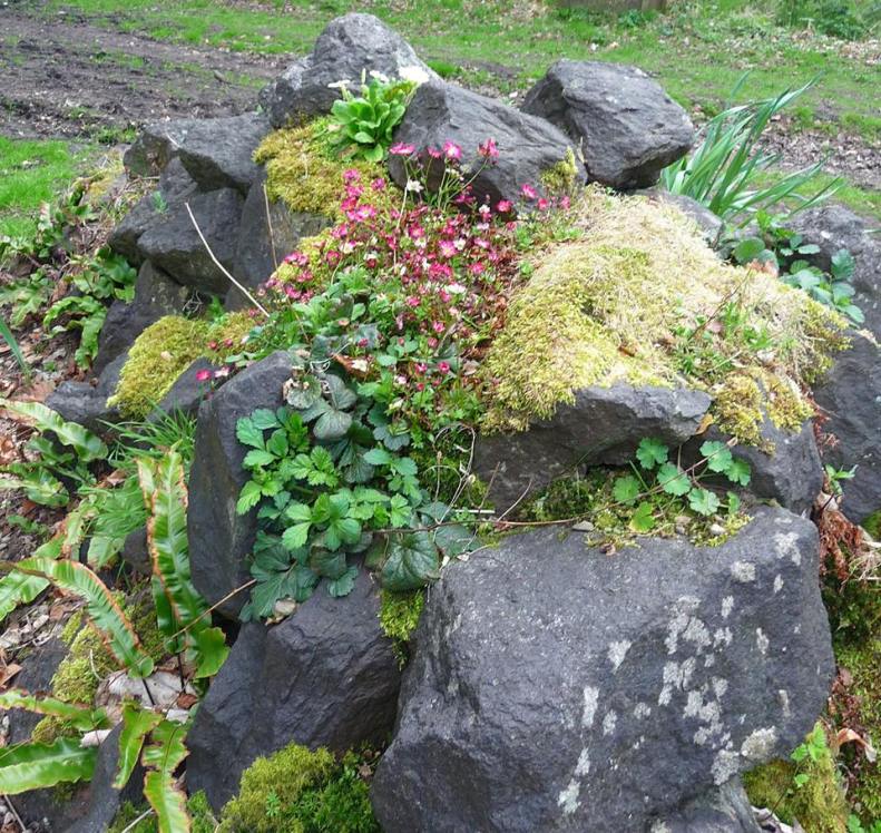 31081711_1943356539017431_5173529501519828603_n