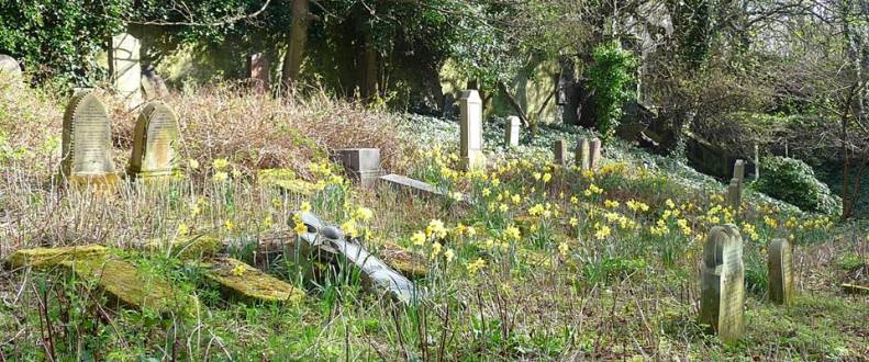 31164039_1943362735683478_6081699181477096628_n