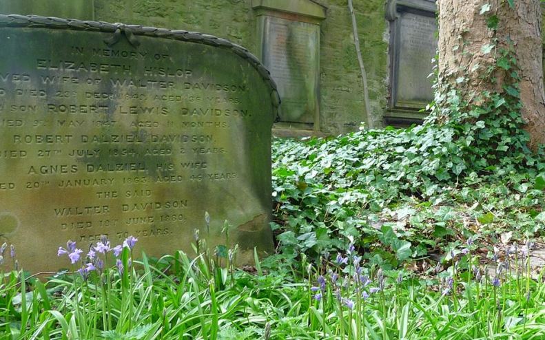 31165906_1943349262351492_296966662439375136_n