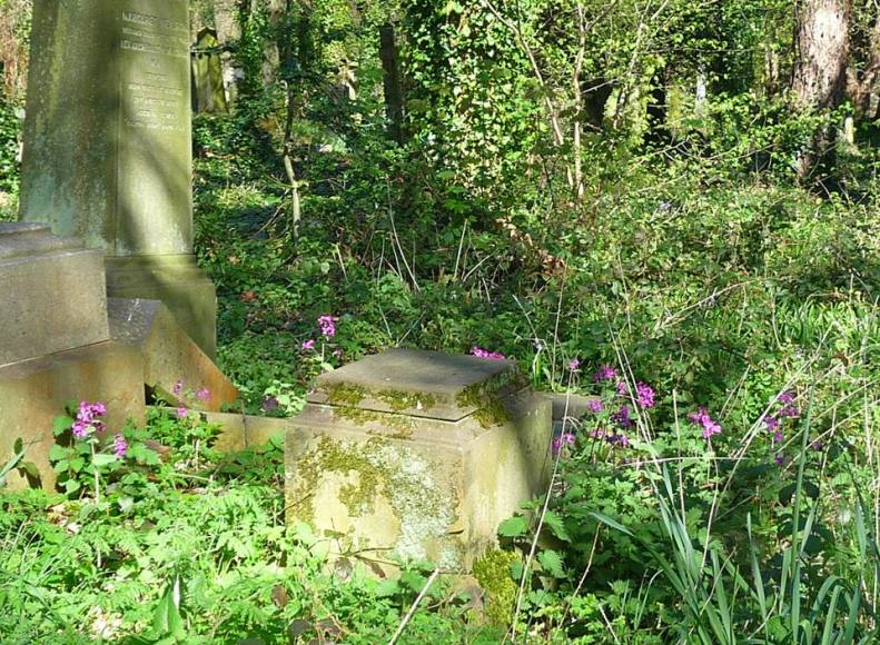 31403776_1949019891784429_2730623742793432456_n