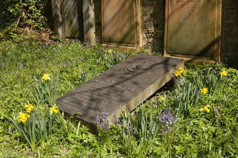 31562313_10155852328583025_8188979251521781760_n