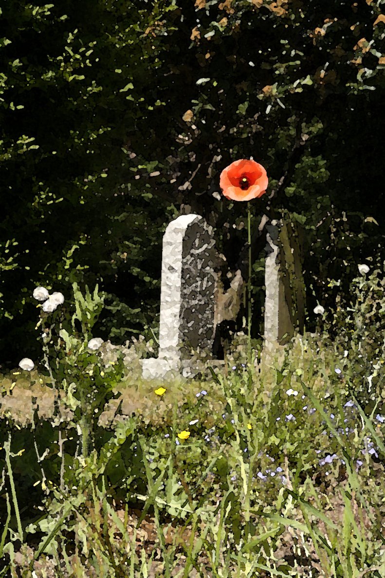 IMG_6323 i watercolour filter