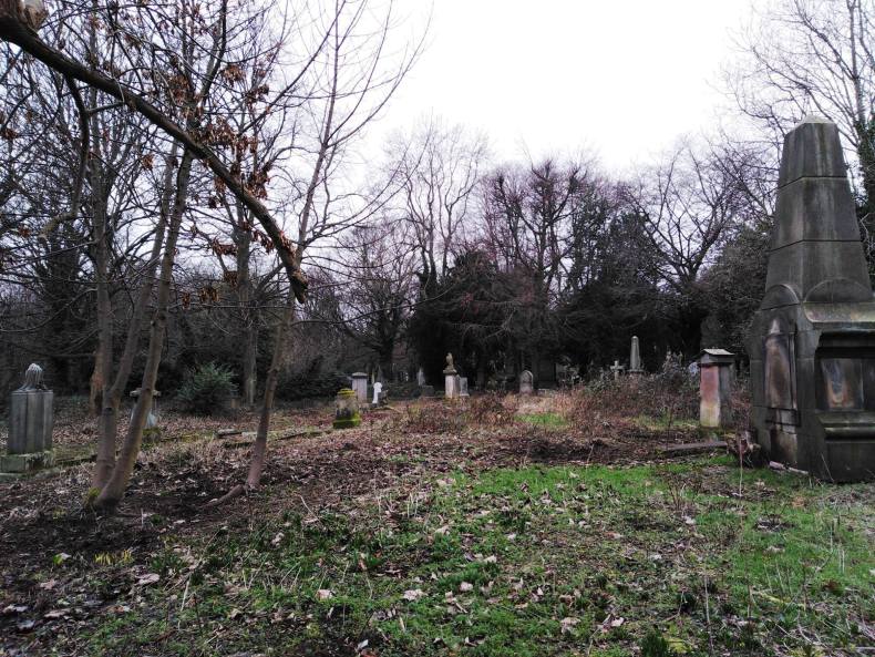 50115397_2335588746460873_9090018645253292032_o-1