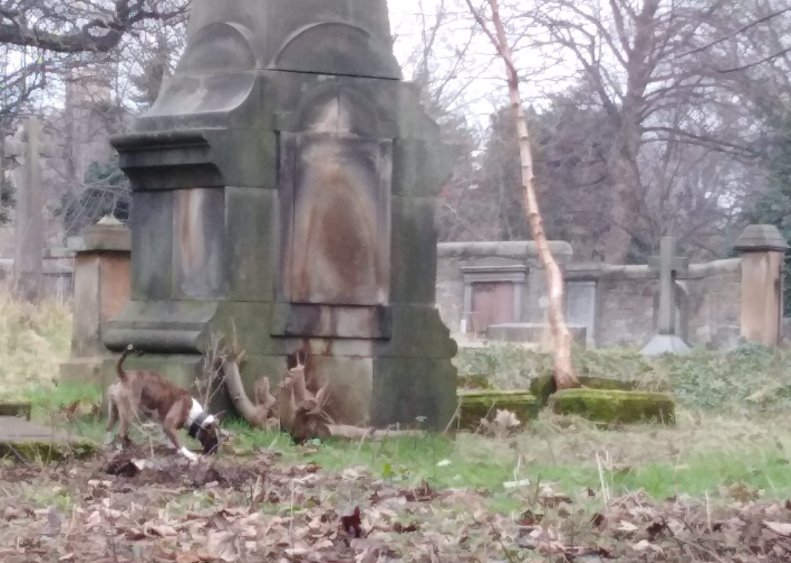 50295314_2335589056460842_6775344577688633344_o-1