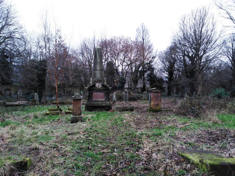 50309830_2335588553127559_8245577209562005504_o