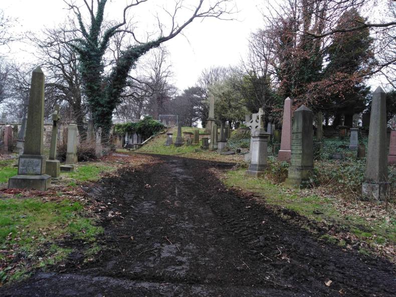 50492040_2335584823127932_7310036811693162496_o