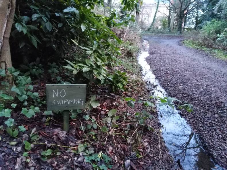 50887258_2352404124779335_6516021947074084864_o