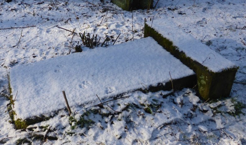 51020987_2356442071042207_7821782388349861888_o