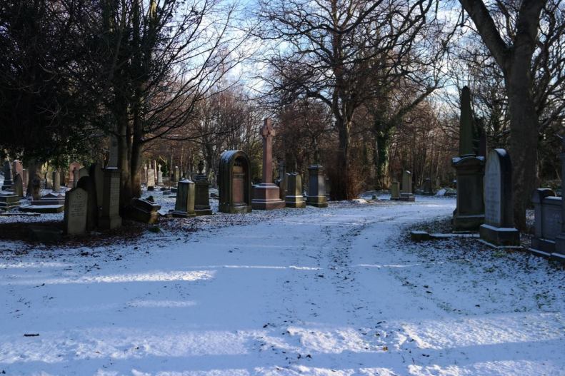 51056129_2548221571860283_7680017350543802368_o