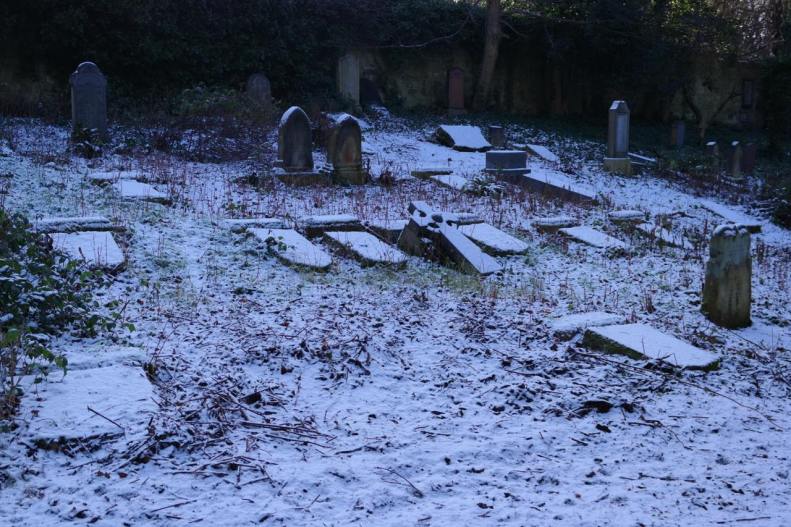 51088776_2548221611860279_3051017962463952896_o