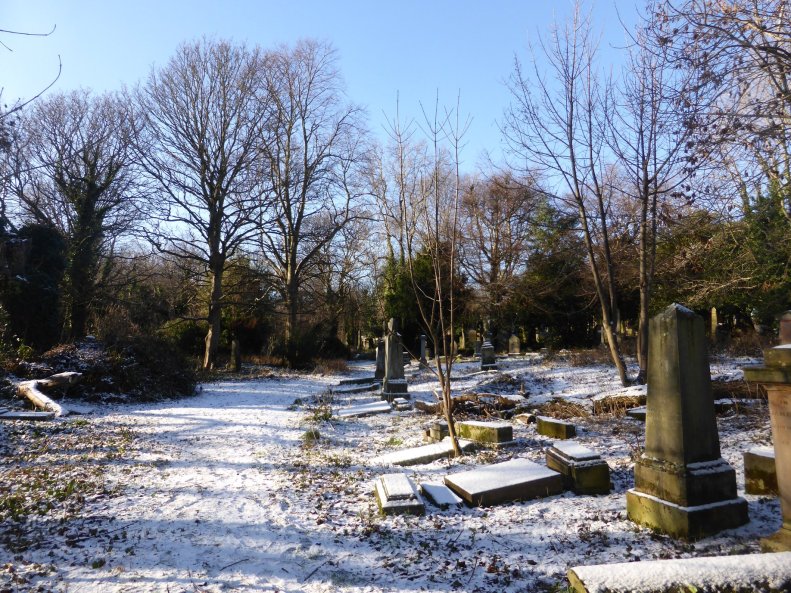 51100932_2356442317708849_4880734469339742208_o