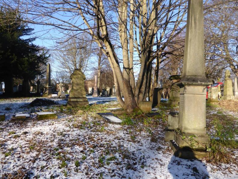 51163611_2356441931042221_5465205494563995648_o