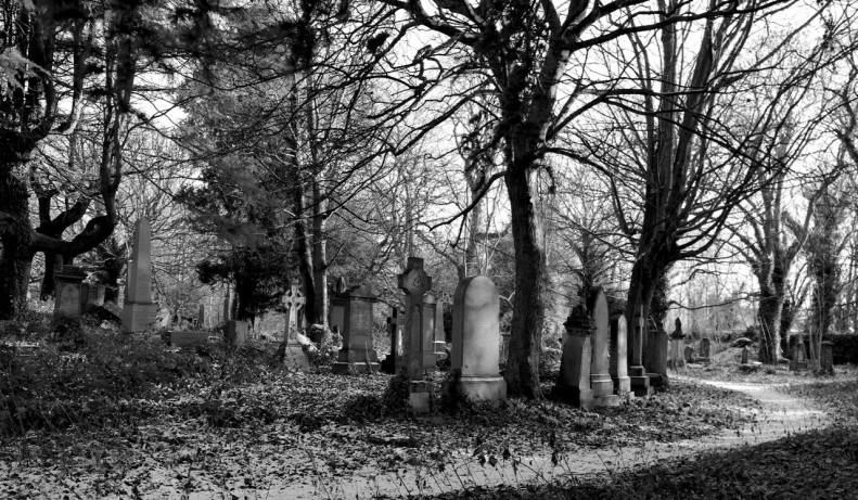 51351547_2548221515193622_4653059721857597440_o